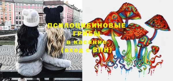 индика Мегион
