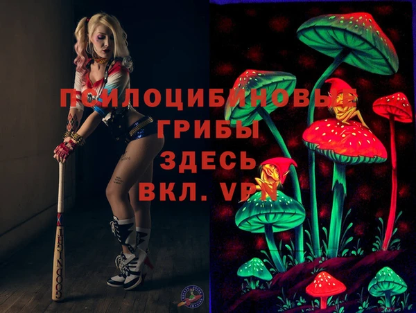 метадон Медвежьегорск