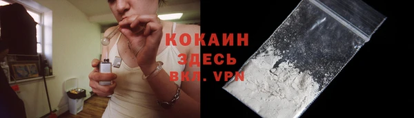 индика Мегион