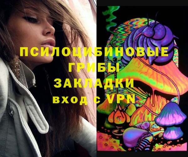 индика Мегион