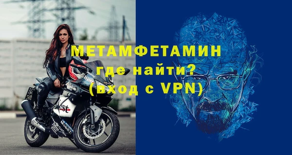 индика Мегион