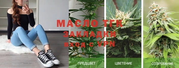 индика Мегион
