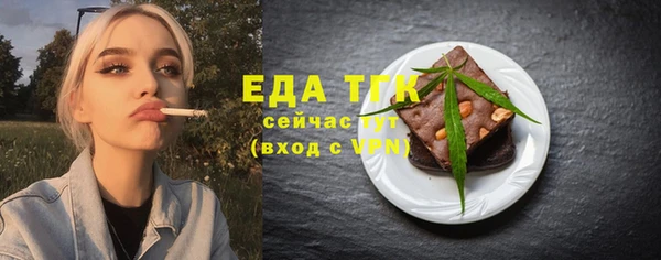 индика Мегион
